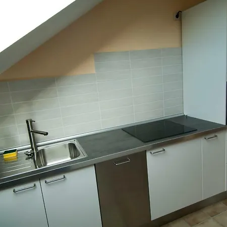Apartment Fewo-schwarzer Ingelheim am Rhein