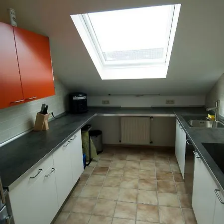 Apartment Fewo-schwarzer Ingelheim am Rhein