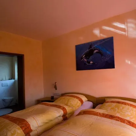 Fewo-schwarzer Apartment Ingelheim am Rhein